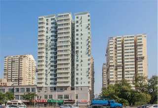 青浦区创意绿植花卉